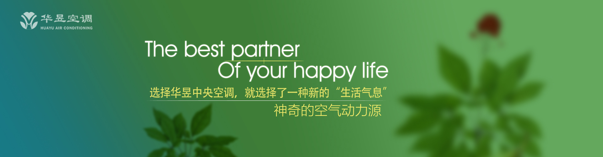 终南捷径网